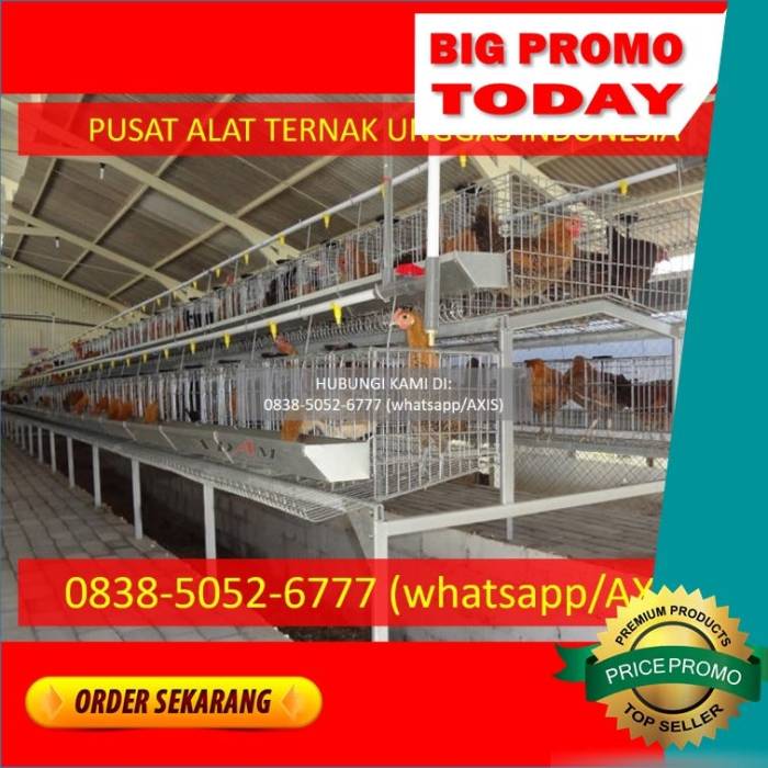 Peternakan ayam petelur terdekat di Kalasan, Sleman