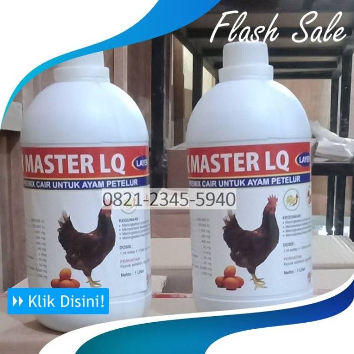 Kadis LH Merangin Berikan Tanggapan Terkait Peternakan Ayam Milik Toyib ... Ayam layer di Margo Tabir, Kabupaten Merangin