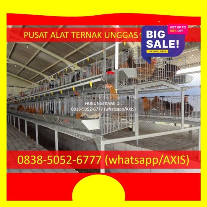 0838–5052–6777 — Supliyer Kandang Baterai Ayam Petelur Kabupaten Sinjai ... 0838–5052–6777 — Supliyer Kandang Baterai Ayam Petelur Kabupaten Sinjai ...
