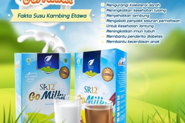 Susu kambing di Kebomas, Gresik