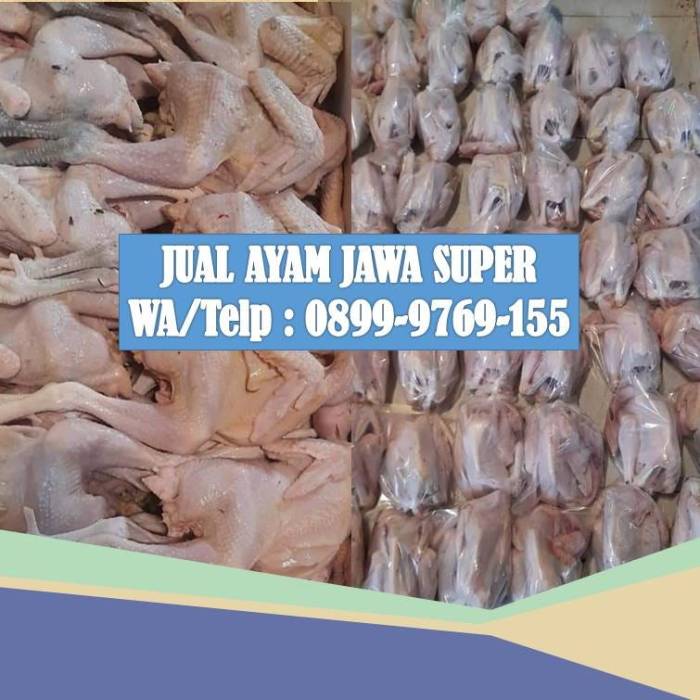 Daun penggemuk ayam di Banjarmasin Tengah, Kota Banjarmasin
