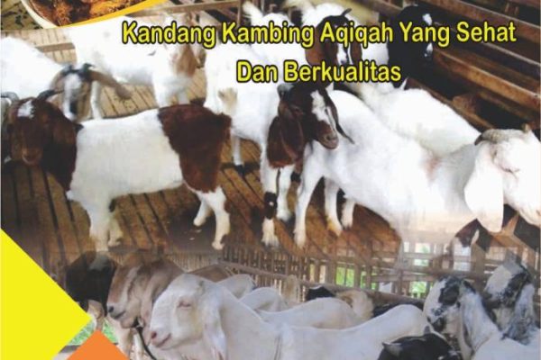 Susu kambing di Kepanjen, Malang