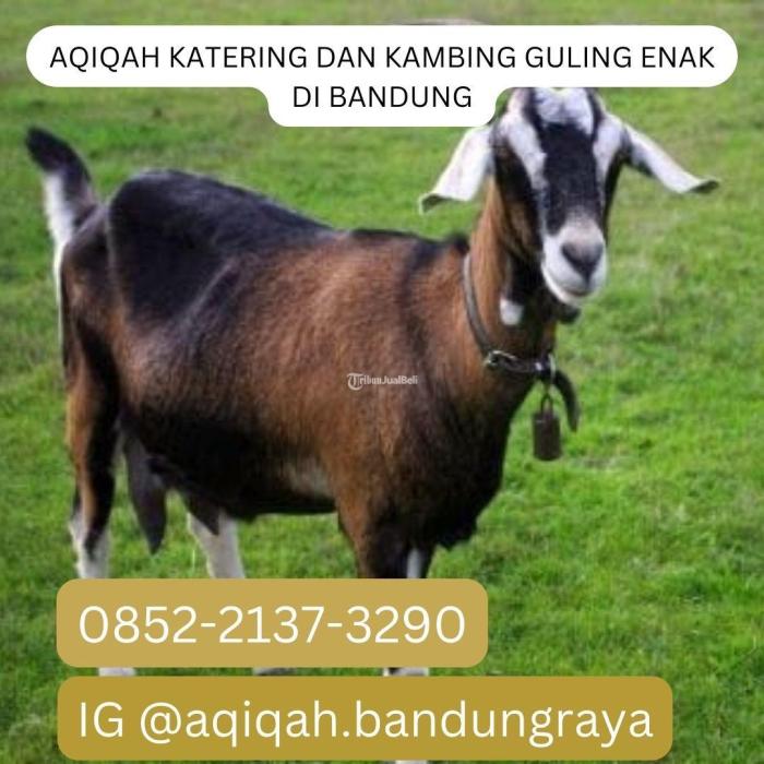 Daging kambing di Bandung Kulon, Kota Bandung