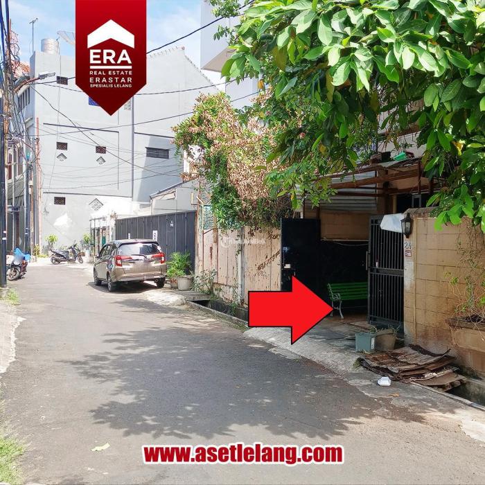 Jual Ayam Kampung Arab - Ayam Arab Remaja - Murah | Shopee Indonesia Ayam arab di Sawah Besar, Jakarta Pusat