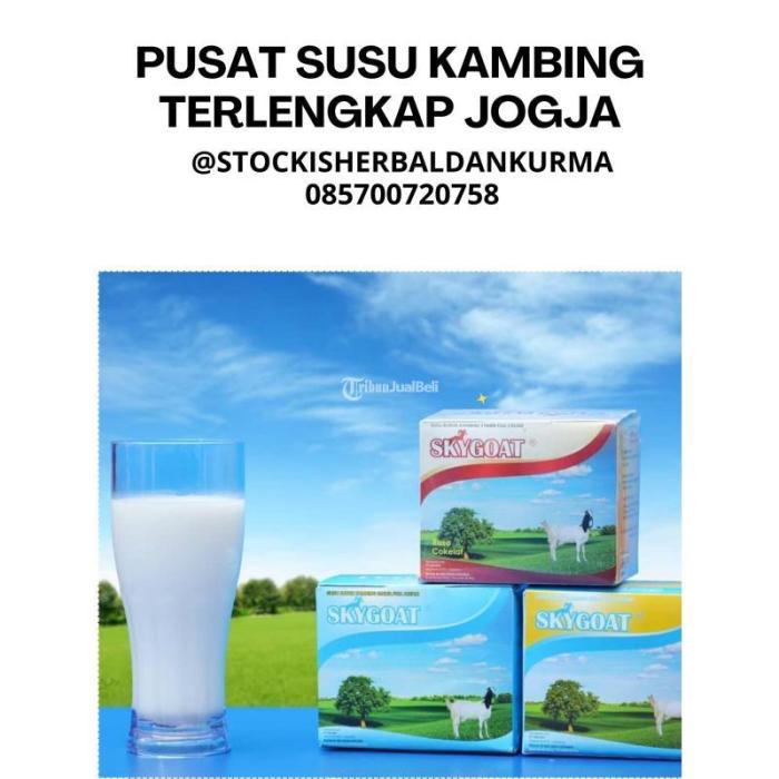 Susu kambing di Deket, Lamongan
