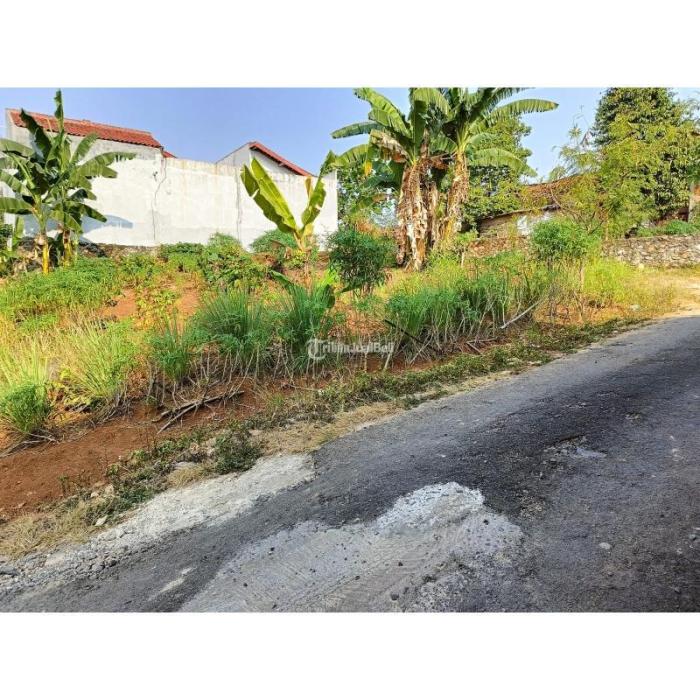 Jual Tanah Murah Luas 300m2 SHM di Labuhan Ratu Dekat Kampus Teknokrat ... Daging kambing di Labuhan Ratu, Kota Bandar Lampung