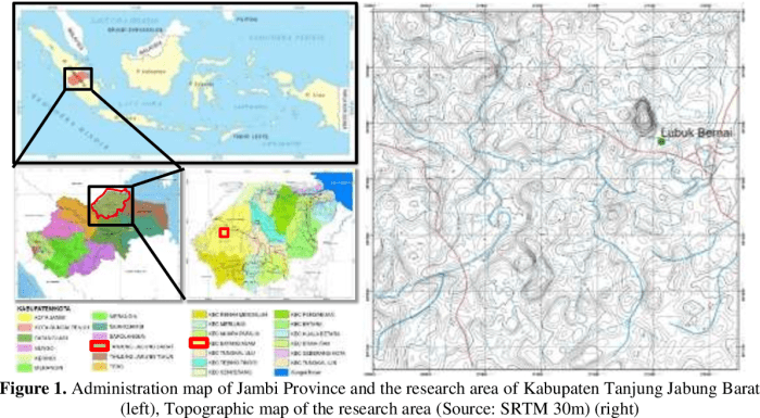 KEARSIPAN DAN DOKUMENTASI KAB TANJUNG JABUNG BARAT Ayam layer di Batang Asam, Kabupaten Tanjung Jabung Barat