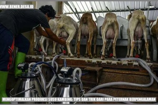 Susu kambing di Kademangan, Blitar