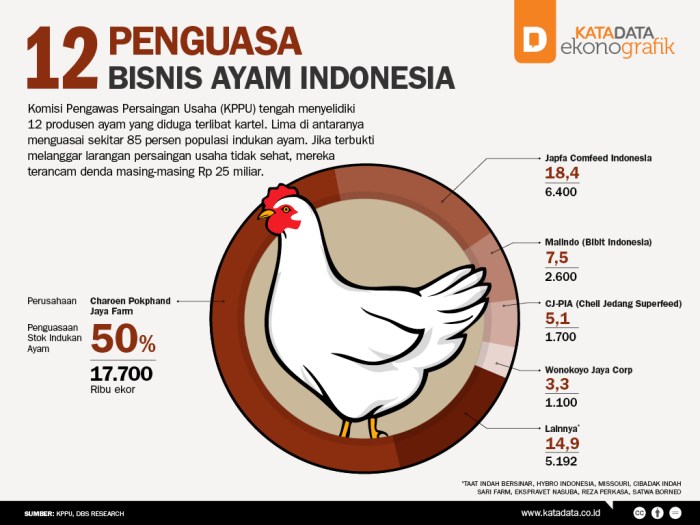 Ayam ternak di Jatipurno, Wonogiri