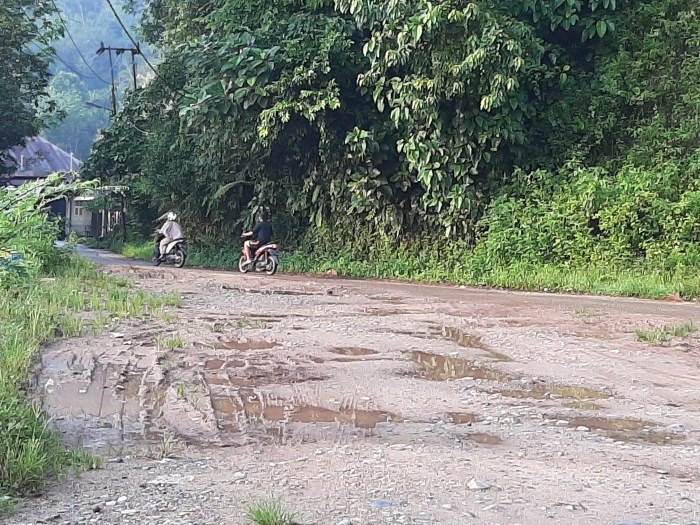 Akibat Covid-19 Pasar Lubuk Tarok Kabupaten Sijunjung, lengang dari ... Budidaya ayam di Lubuk Tarok, Kabupaten Sijunjung