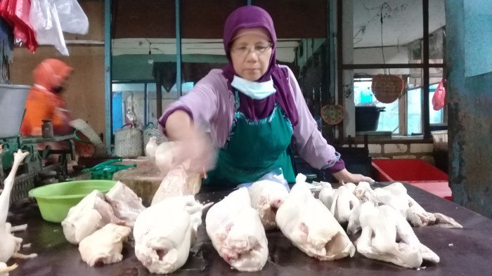 Harga Ayam Potong di Pasar Merangkak Naik Harga ayam kampung potong di Banjar Baru, Tulang Bawang
