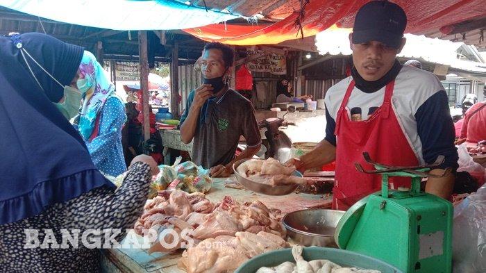 Ayam Ternak di Pangkal Balam, Kota Pangkalpinang