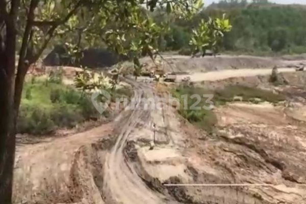 Daun penggemuk ayam di Tambang Ulang, Tanah Laut