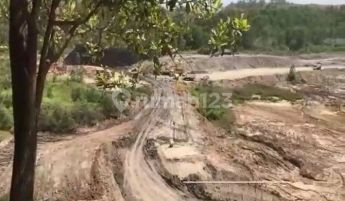 Daun penggemuk ayam di Tambang Ulang, Tanah Laut