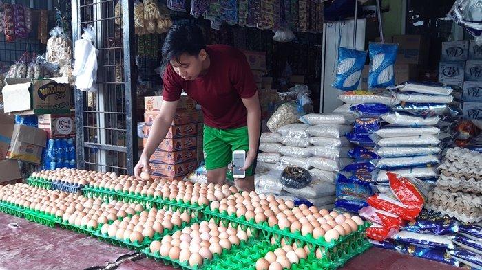 Peternakan Ayam Kampung Petelur di Bogor - Vlix.id