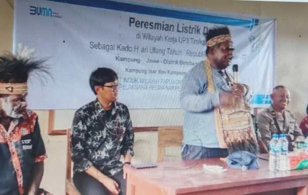 Daun penggemuk ayam di Joerat, Kab. Asmat
