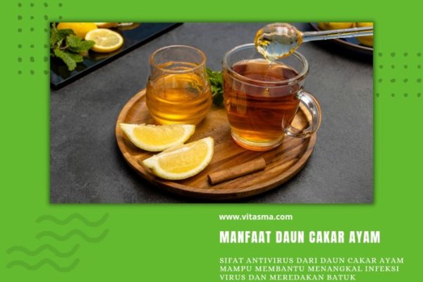 Daun penggemuk ayam di Kajuara, Bone