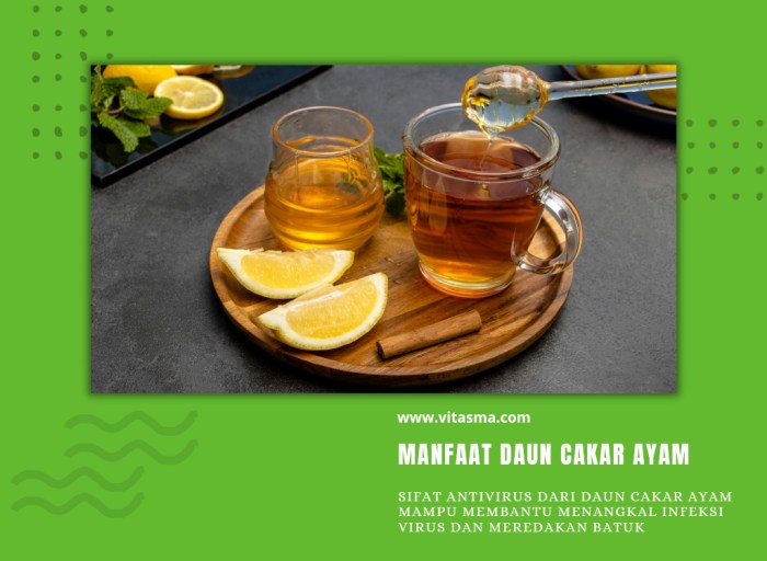 Daun penggemuk ayam di Kajuara, Bone