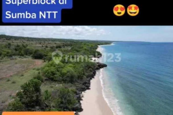 Ternak ayam petelur di Umbu Ratu Nggay, Sumba Tengah