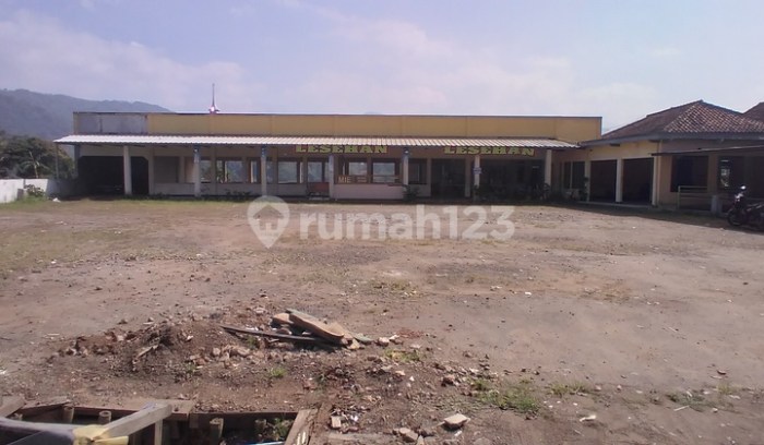 Desa Pangeureunan Panen Raya Jagung - Locus Online Ayam afkir di Balubur Limbangan, Garut