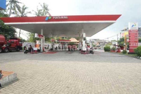 Daun penggemuk ayam di Tuhiba, Kab. Teluk Bintuni