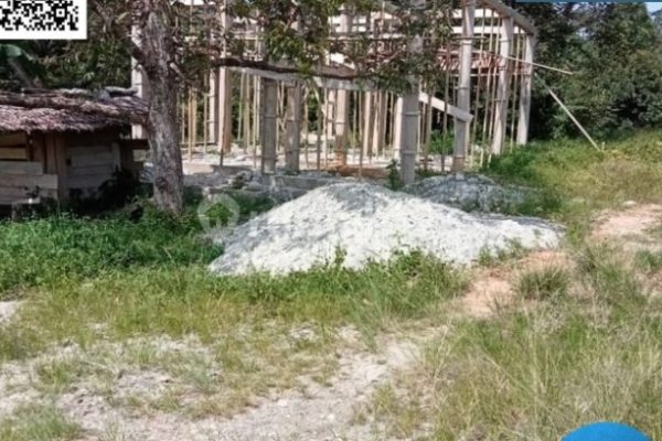 Daun penggemuk ayam di Sabbang, Luwu Utara