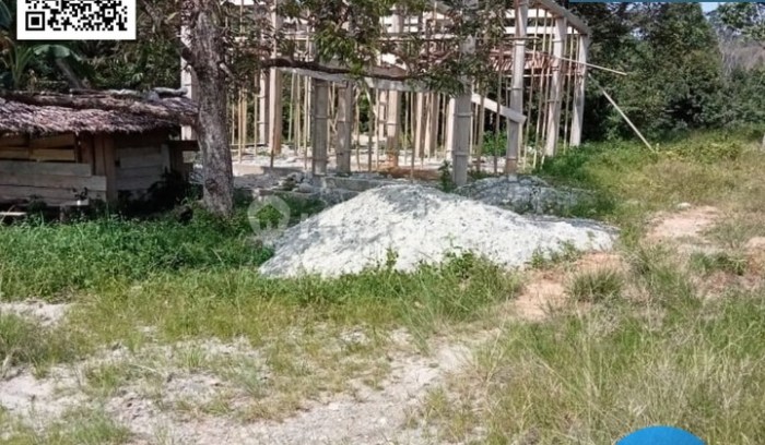 Daun penggemuk ayam di Sabbang, Luwu Utara