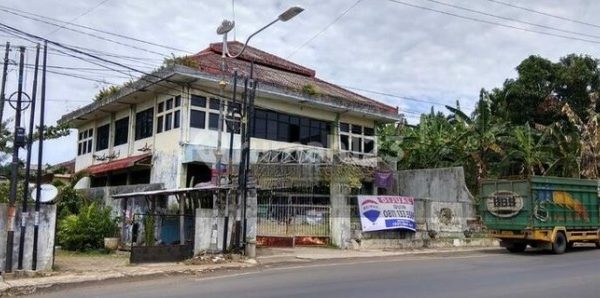 6 Kiat Sukses Ternak Ayam Kampung di Lahan Sempit, Simak Cara Budidaya ...