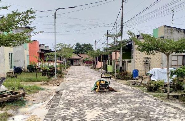 Daun penggemuk ayam di Penajam, Penajam Paser Utara