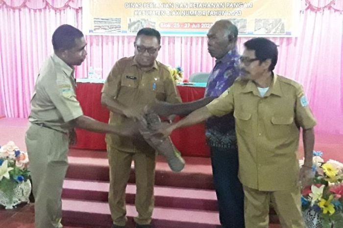 Plt Sekda Biak buka pelatihan berternak ayam petelur - ANTARA News Papua Plt Sekda Biak buka pelatihan berternak ayam petelur - ANTARA News Papua