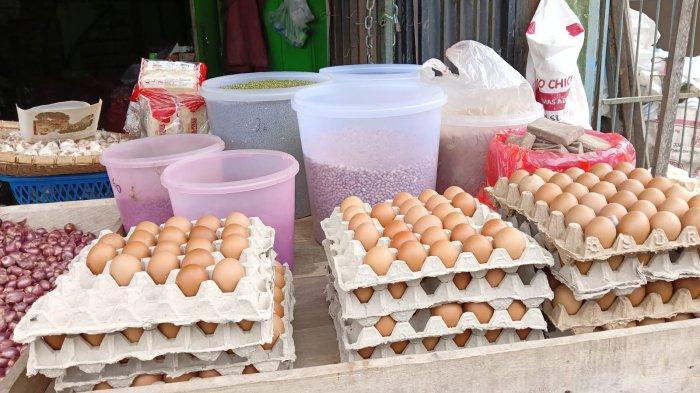 Jelang Hari Natal, Asosiasi Peternak Ayam Petelur Sebut Stok Telur Aman ... Ternak ayam petelur di Sorong Barat, Kota Sorong