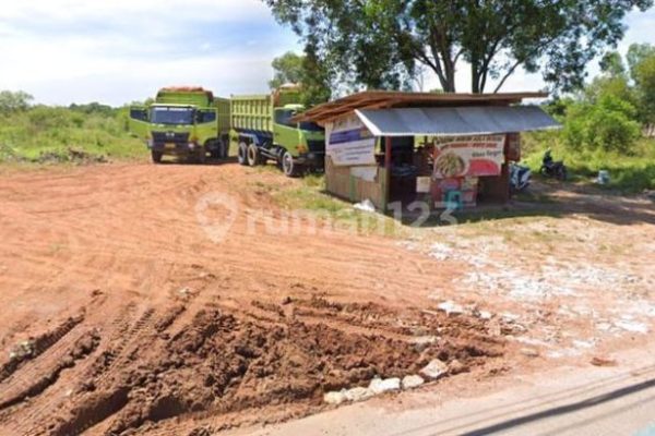 Daging kambing di Cirinten, Kab. Lebak
