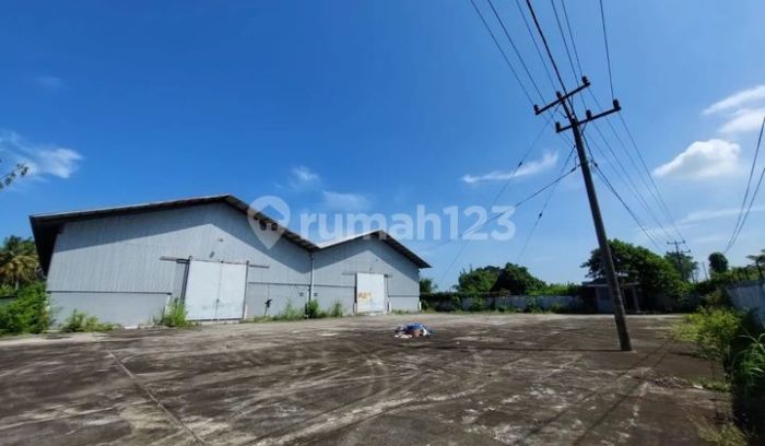 Sesosok Jenazah Membusuk Ditemukan di Tigo Baleh Kota Bukittinggi Budidaya ayam di Aur Birugo Tigo Baleh, Kota Bukittinggi