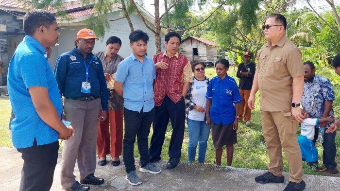 Daun penggemuk ayam di Ayamaru Utara Timur, Kab. Maybrat