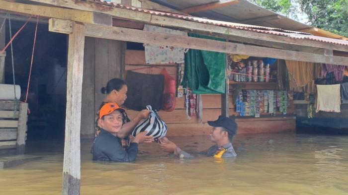 Daun penggemuk ayam di Tering, Kutai Barat