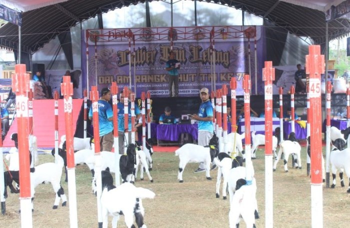 Daging kambing di Dongko, Trenggalek