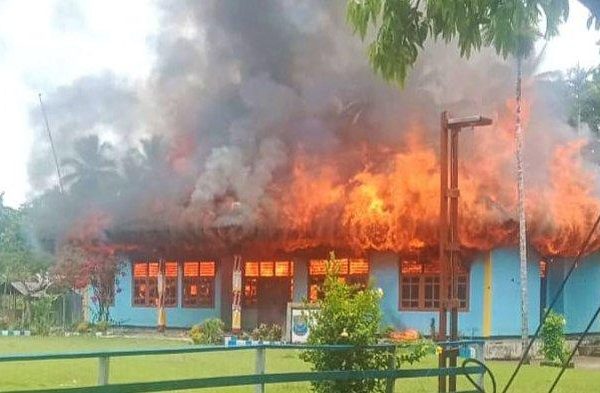 Daun penggemuk ayam di Waigeo Barat, Kab. Raja Ampat