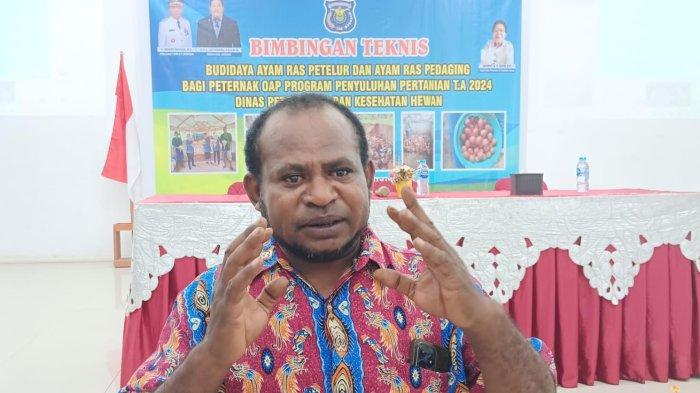 Ternak ayam petelur di Sorong, Kab. Sorong