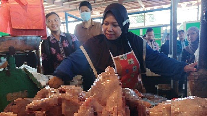 ayam petelur jambi - Blake Cameron