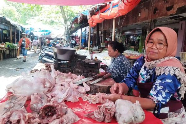 Ayam arab petelur di Pace, Nganjuk
