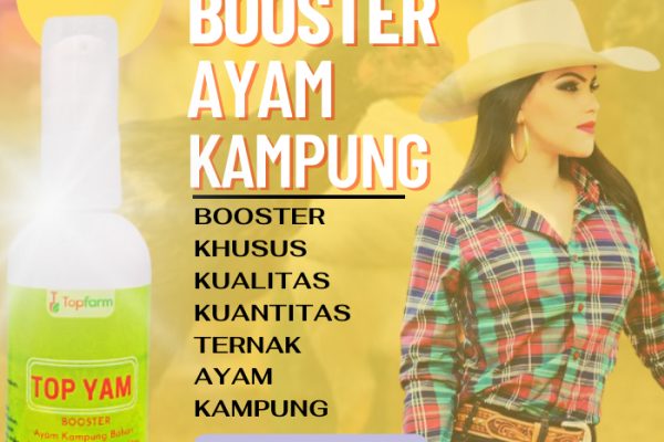 Daun penggemuk ayam di Toianaas, Timor Tengah Selatan