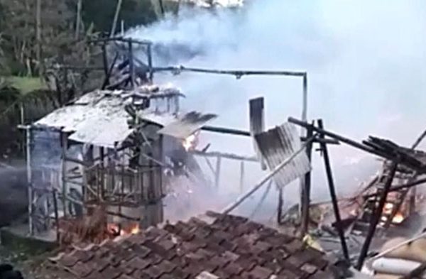 WAJIB TAU!! CIRI-CIRI AYAM AFKIR YANG PRODUKTIFITASNYA MENURUN DAN ...