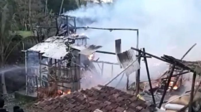 WAJIB TAU!! CIRI-CIRI AYAM AFKIR YANG PRODUKTIFITASNYA MENURUN DAN ...