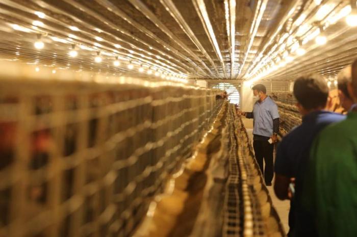 Pemandian Air Panas di Jasinga Bogor Ini Bikin Betah!! - Bogoran.com Ayam afkir di Jasinga, Bogor