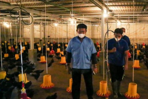 Polisi yang Gugur Ditembak Pelaku Judi Sabung Ayam akan Dimakamkan di ...