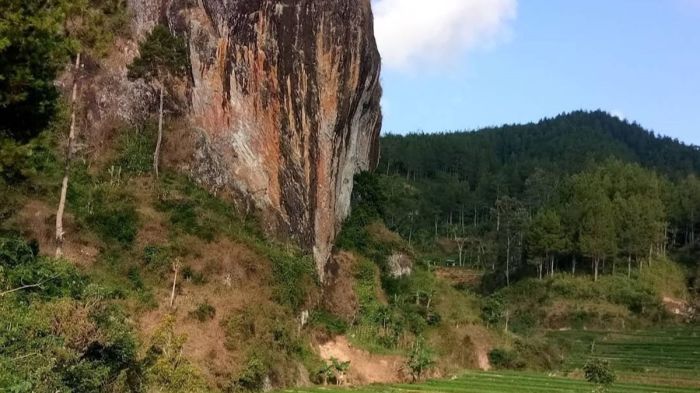 Daging kambing di Ngrayun, Ponorogo
