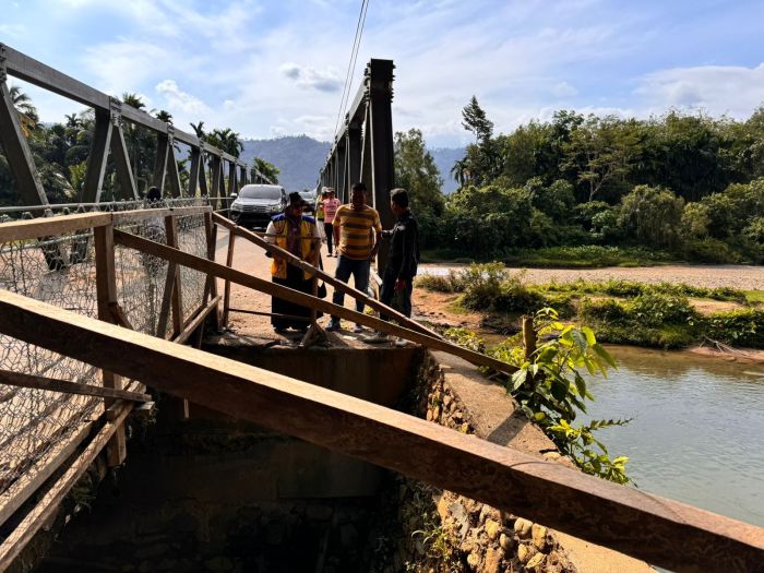 Galeri Foto Ayam kapas