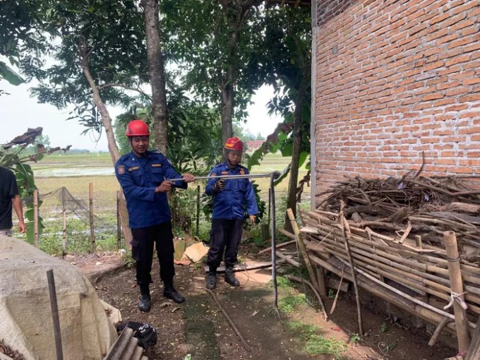Lapas Lamongan Kembangkan Peternakan Ayam KUB, Inilah Potensi dan ... Budidaya ternak ayam di Nusawungu, Cilacap