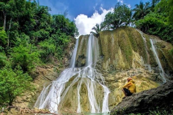 Ayam afkir di Cikatomas, Tasikmalaya