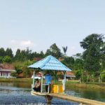 Telur Ayam di Bandar Lampung Tembus Rp30 Ribu per Kilogram